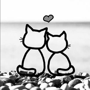 Meet your Posher, Elvin